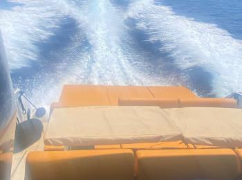 Fiart - 43 Seawalker