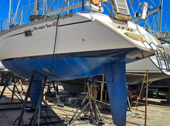 Olympic - Sea 42