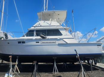 Bertram - 42 Flybridge Motor Yacht