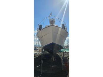 Bertram - 42 Flybridge Motor Yacht