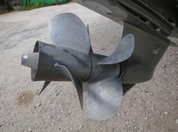 Albatro - 28